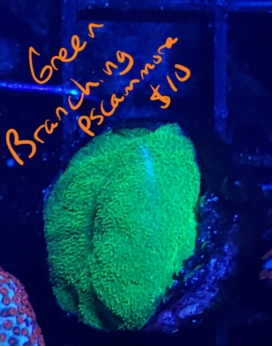 20190516_202916.jpeg