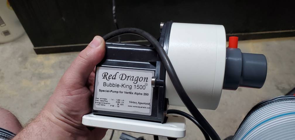 20190516_204333.jpeg