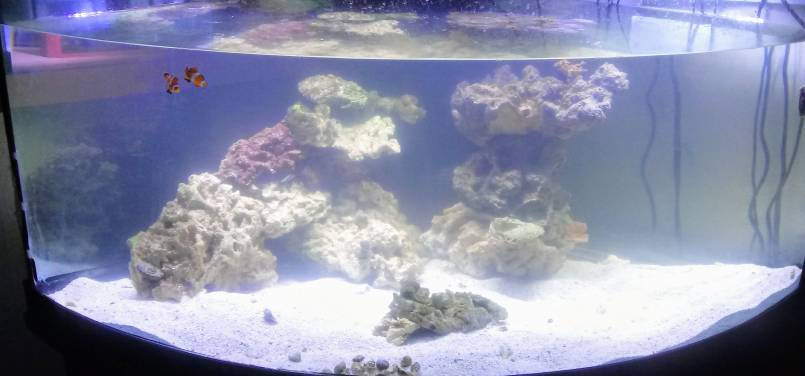 20190517_072036.jpeg