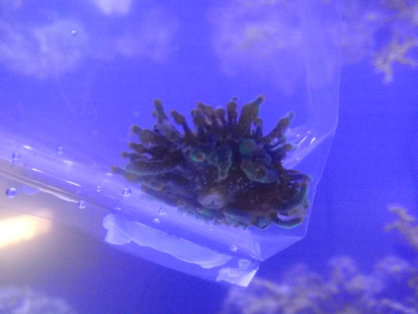 20190517_114124.jpeg