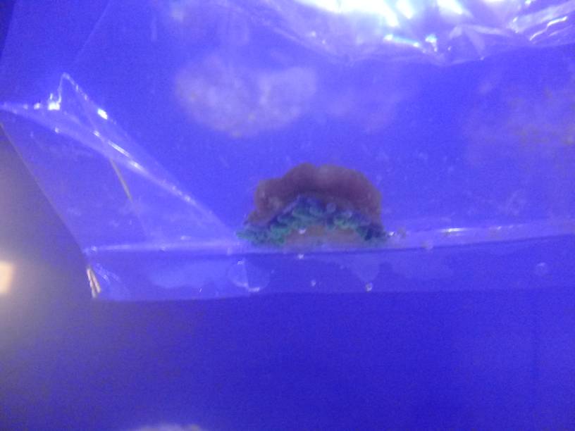 20190517_114132.jpeg