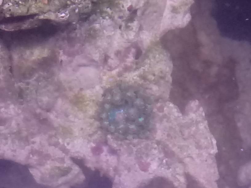 20190517_121637.jpeg