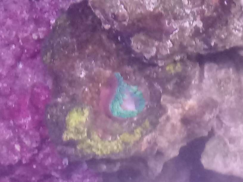 20190517_121652.jpeg