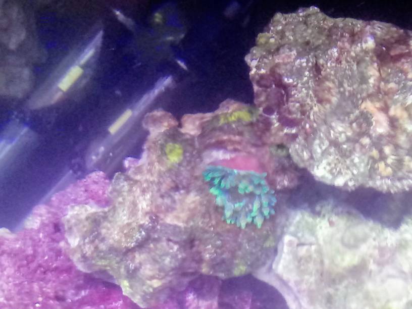 20190517_141534.jpeg