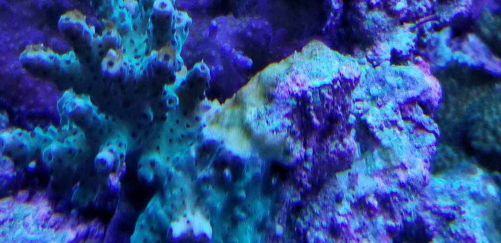 20190518_211701.jpeg