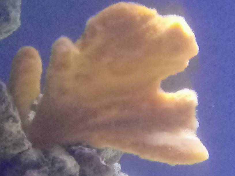 20190519_104935.jpeg