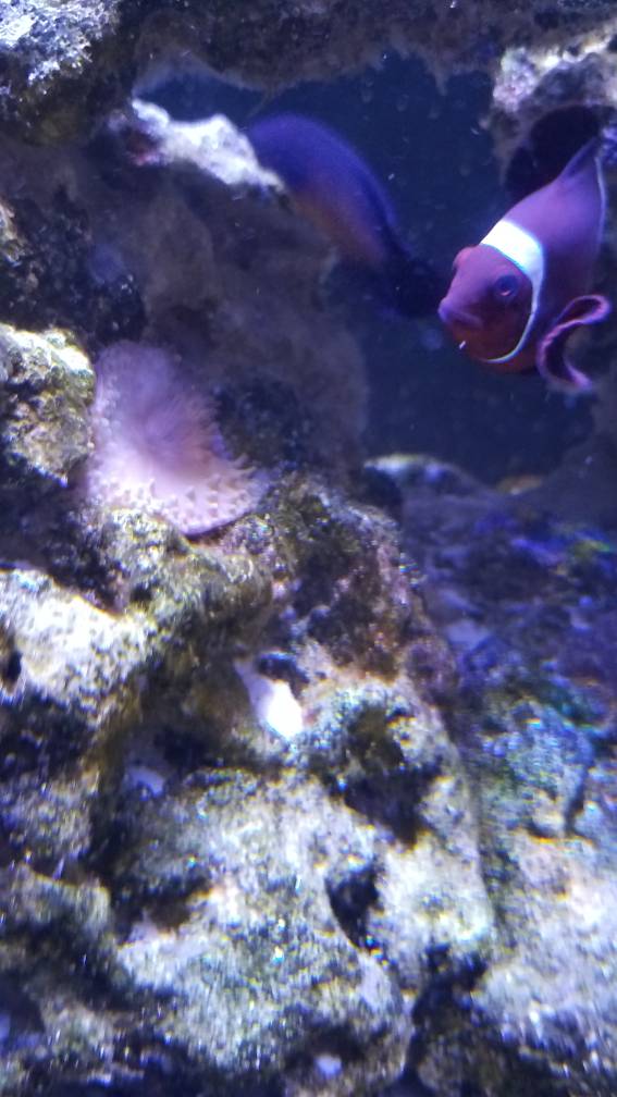 20190519_190701.jpeg