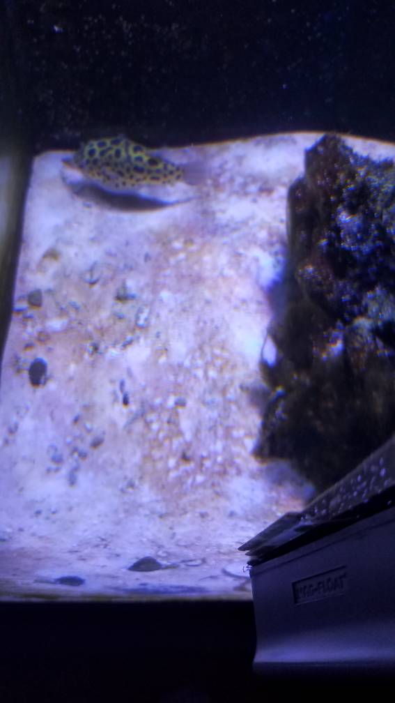 20190519_190708.jpeg