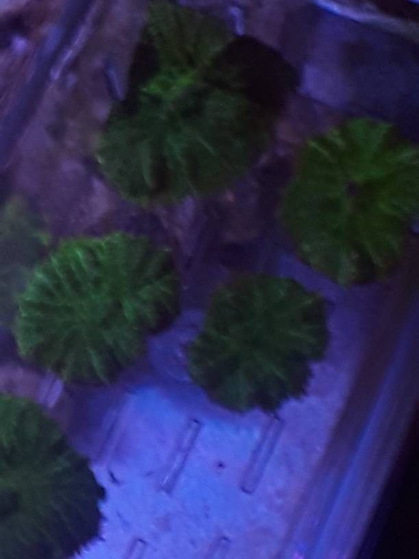 20190521_091435.jpeg