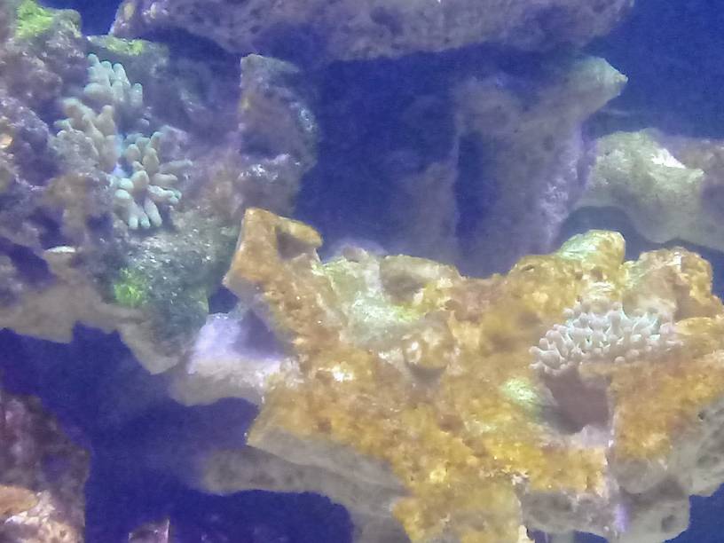 20190522_080913.jpeg