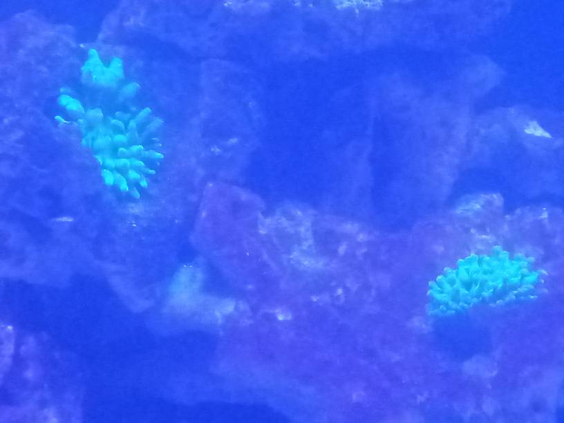 20190522_081058.jpeg