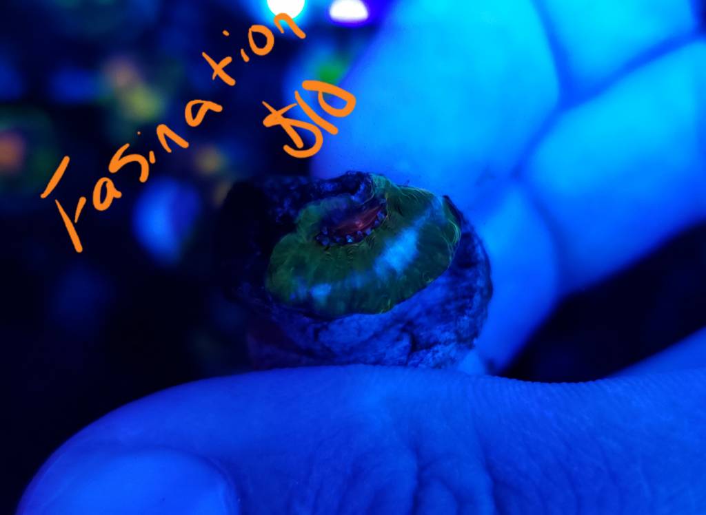 20190522_173246.jpeg
