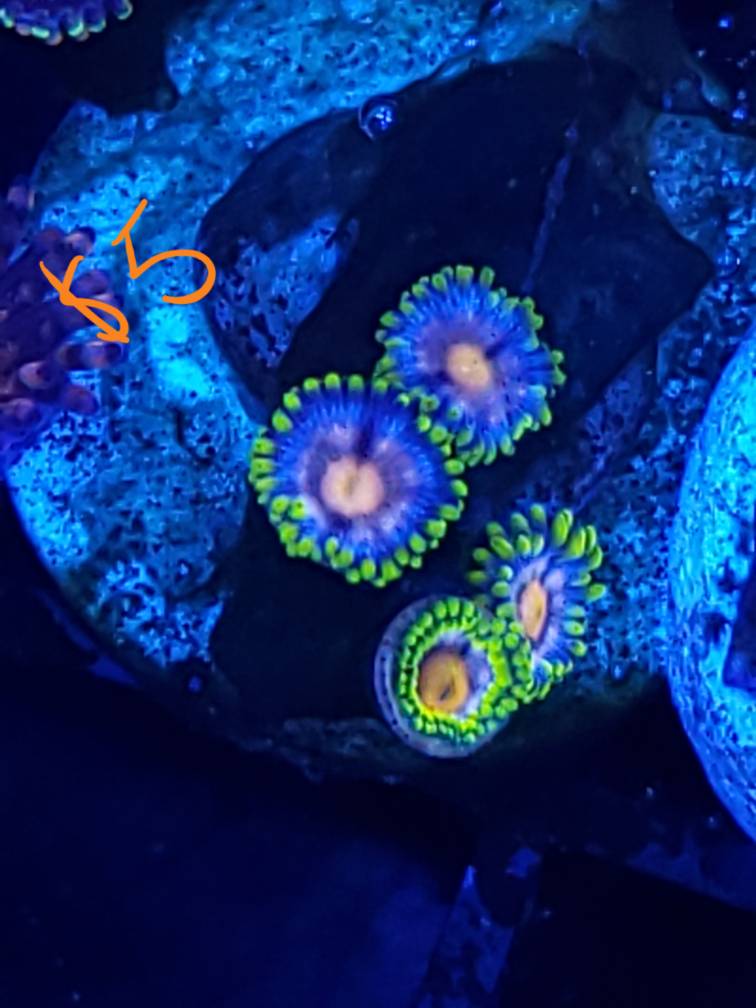 20190522_173319.jpeg