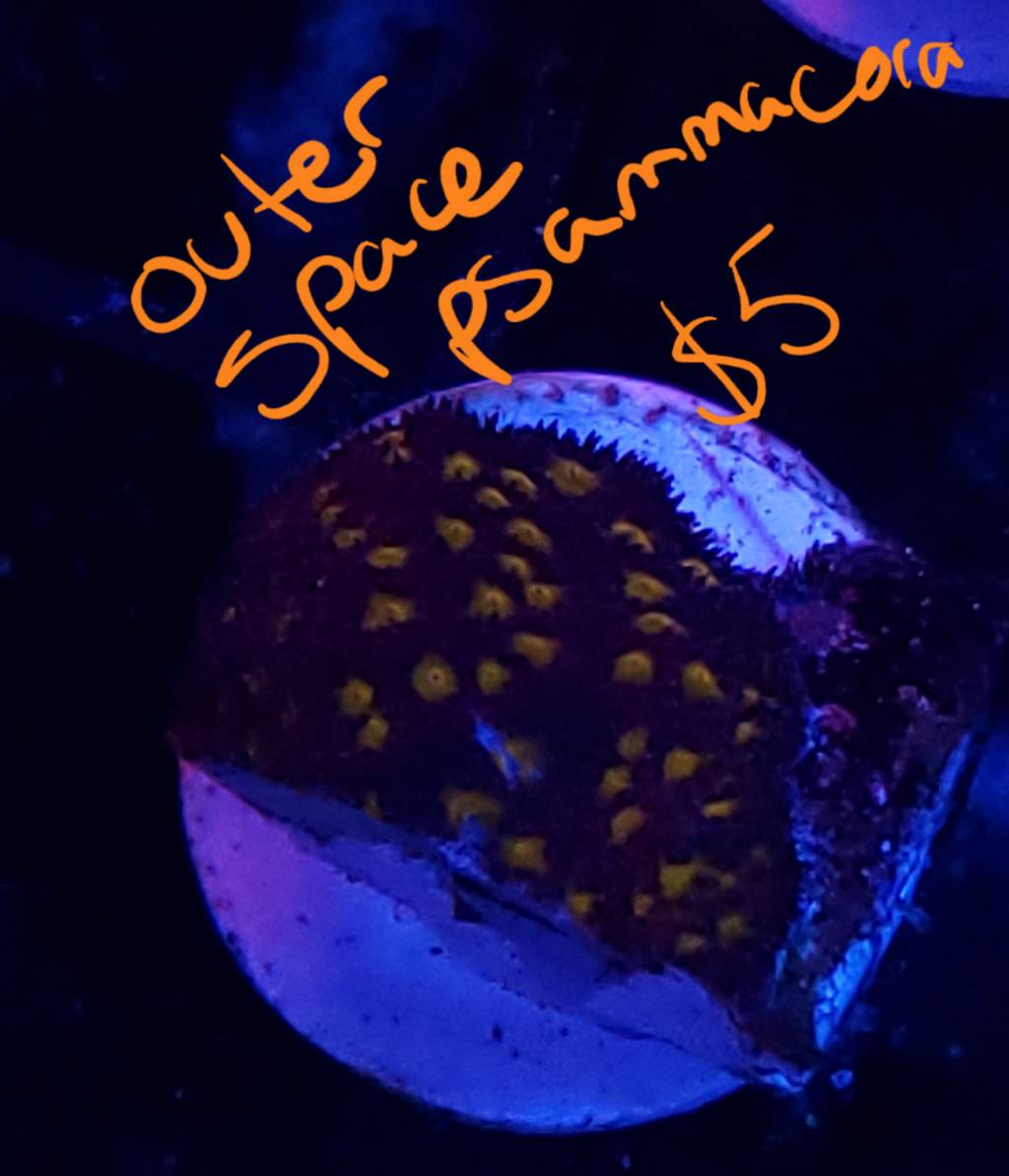 20190522_173515.jpeg
