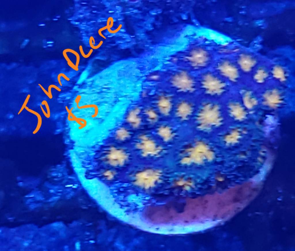 20190522_173914.jpeg