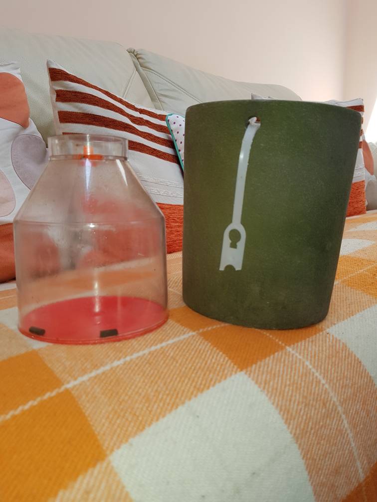 20190523_102631.jpeg