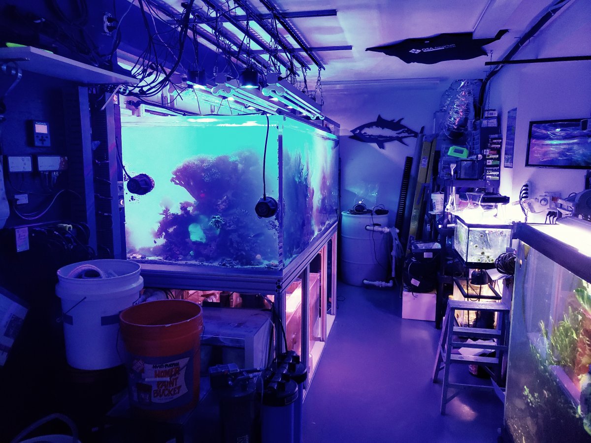 20190523_211544-02.jpeg