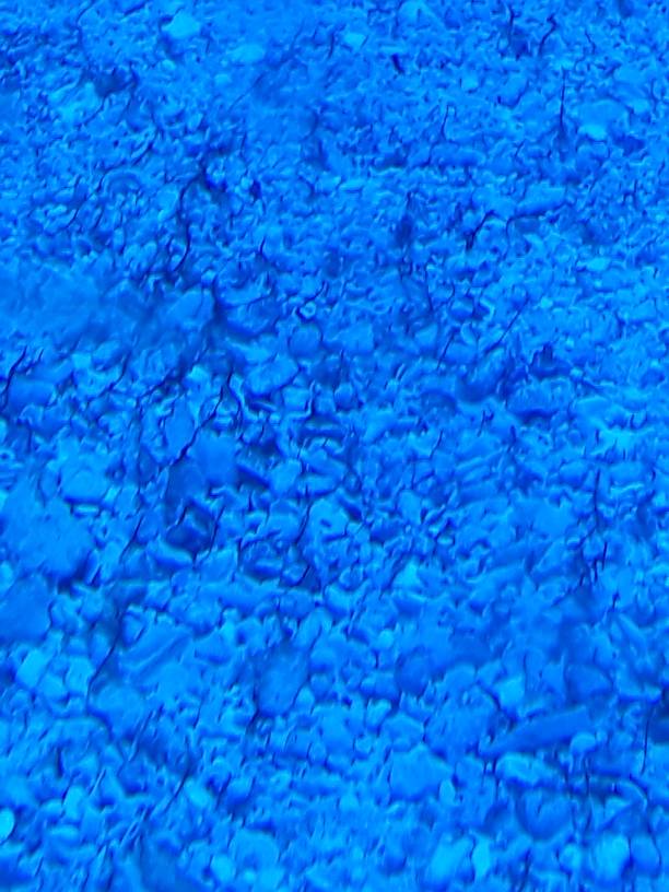 20190524_132733.jpeg