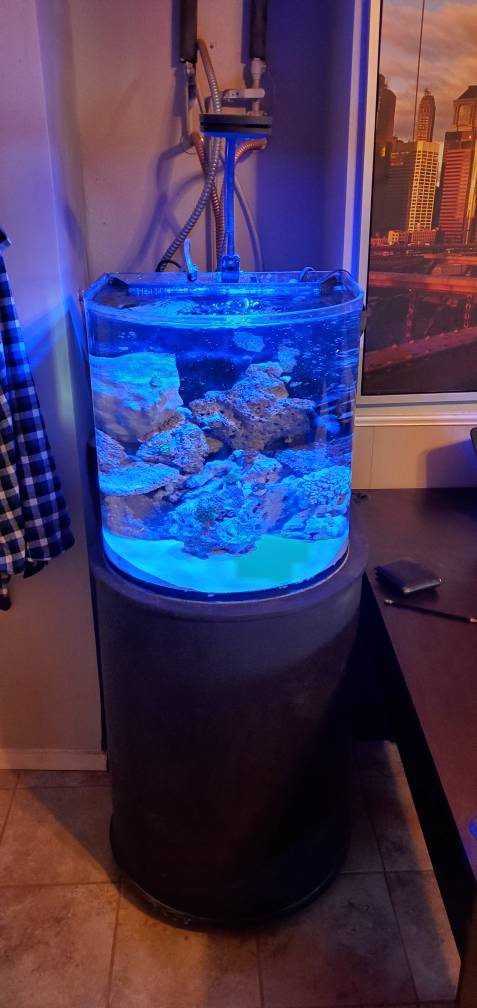 20190525_174705.jpeg