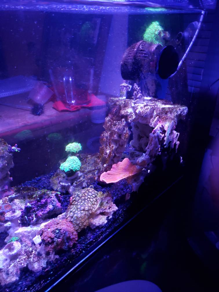 20190525_210659.jpeg