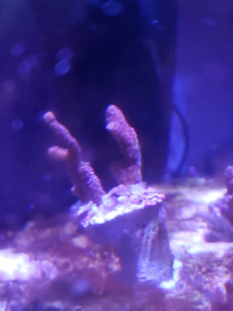 20190525_211109.jpeg