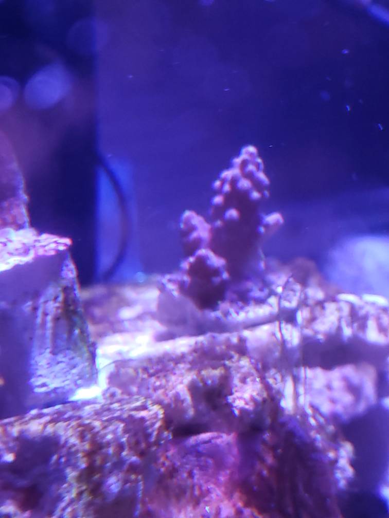 20190525_211113.jpeg