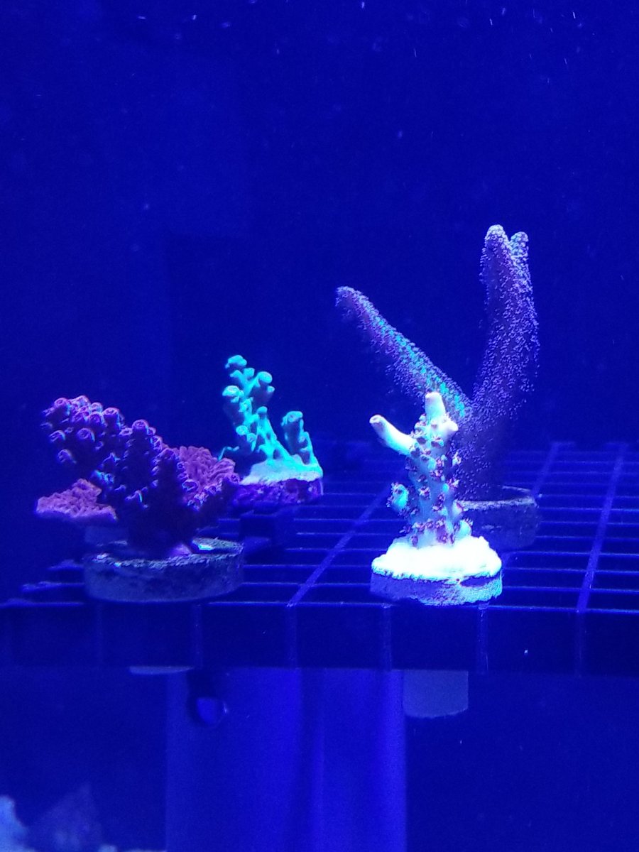 20190526_155017.jpg