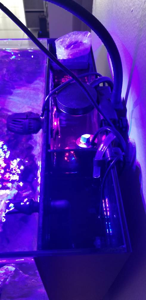 20190527_181309.jpeg