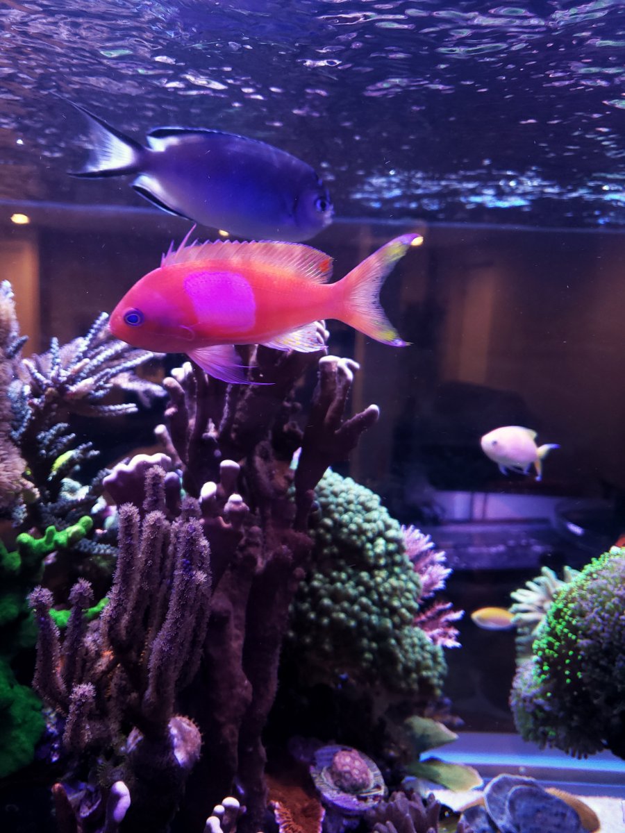 20190528_162930-01.jpeg