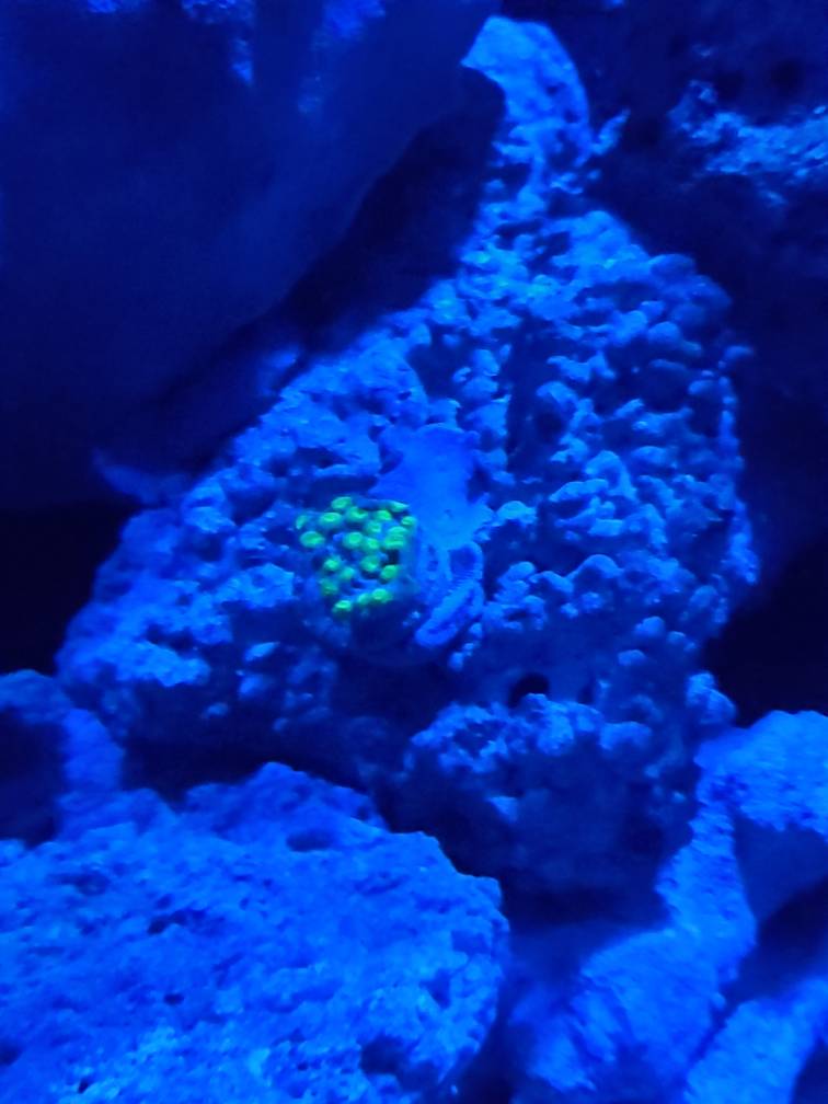20190528_230052.jpeg