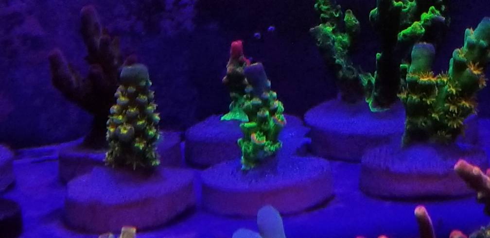 20190530_110444.jpeg