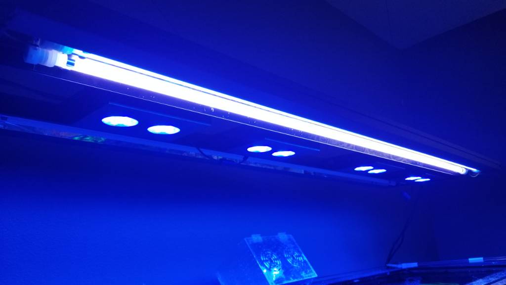 20190530_125753.jpeg
