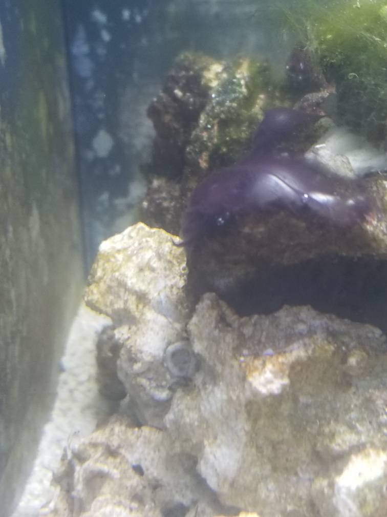 20190530_193934.jpeg