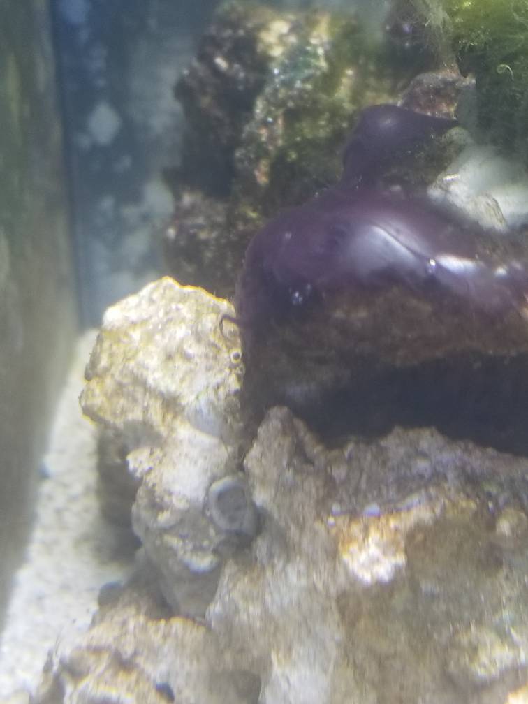 20190530_193956.jpeg