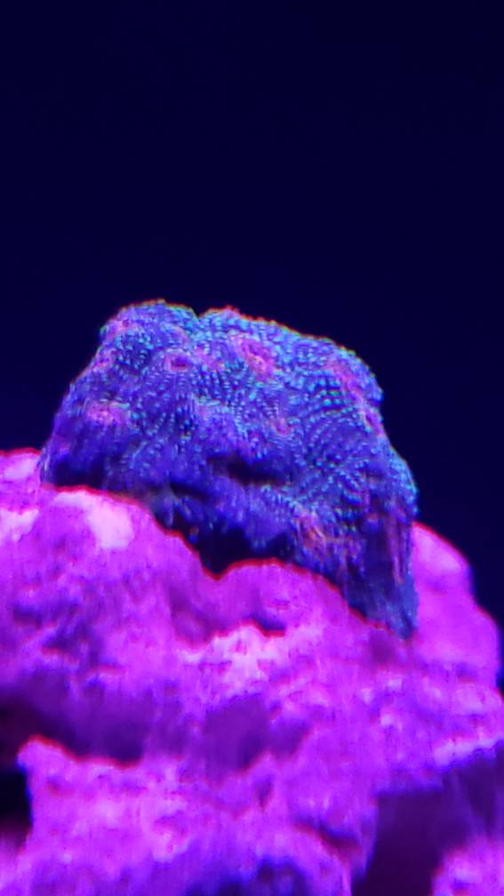 20190601_155628.jpeg