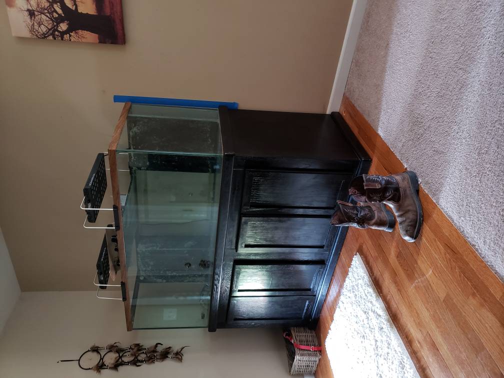 20190602_155518.jpeg