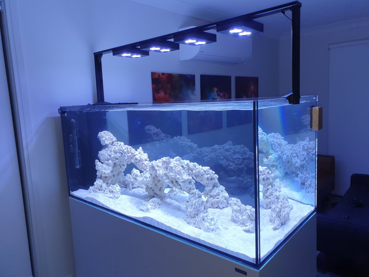 Brand New And Pic Of My First Reef Tank Peninsula Reef2reef Saltwater And Reef Aquarium Forum