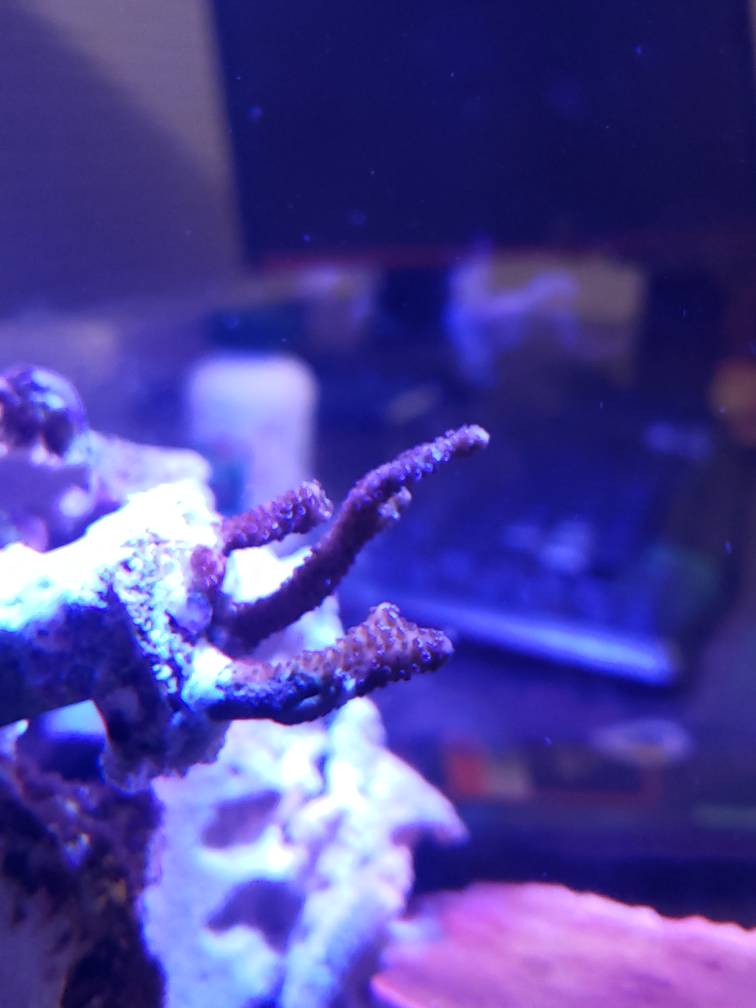 20190602_222353.jpeg