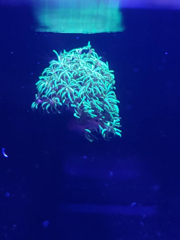 20190602_222513.jpeg