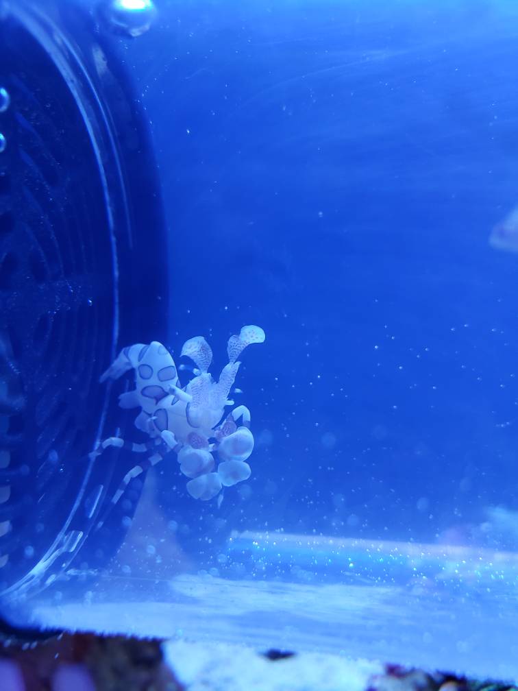 20190605_150431.jpeg