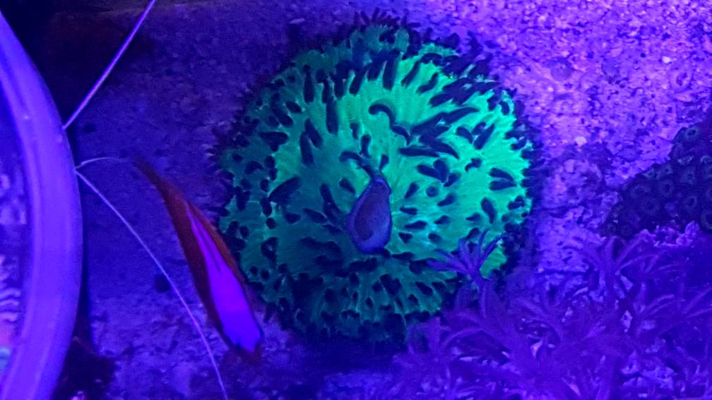 20190605_170608.jpeg