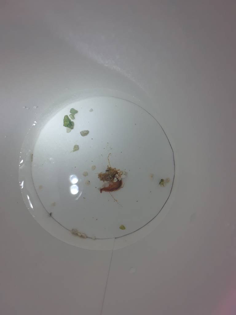20190606_002228.jpeg