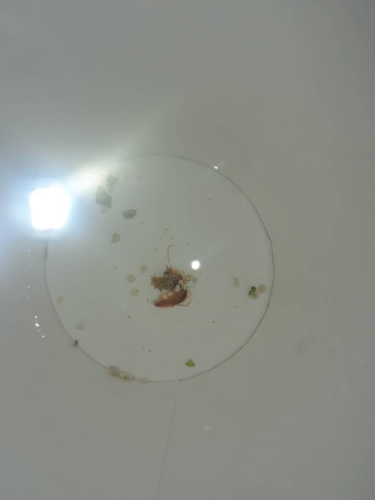 20190606_002232.jpeg
