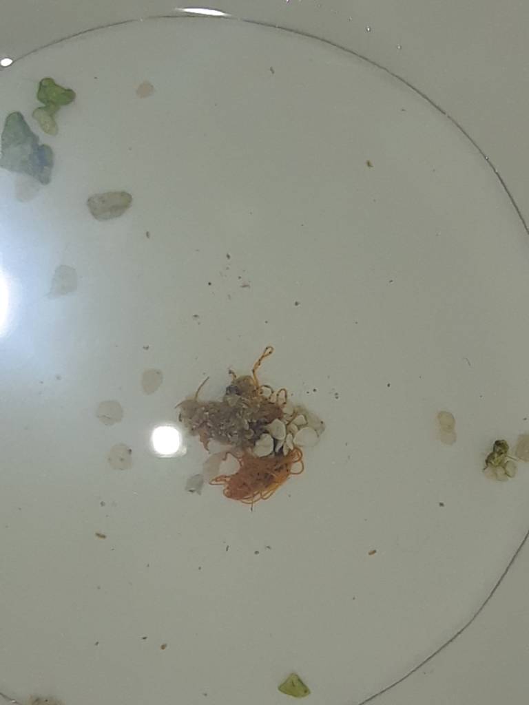 20190606_002249.jpeg