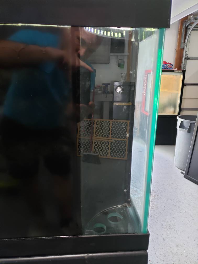 20190606_112031.jpeg