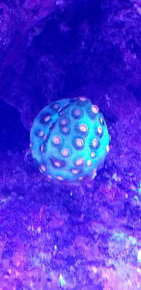 20190606_185723.jpeg