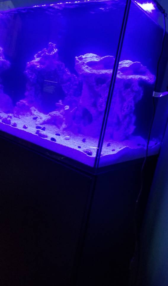 20190609_130459.jpeg