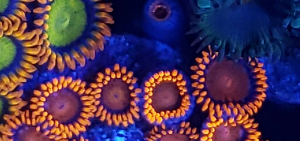20190612_081548~2.jpeg