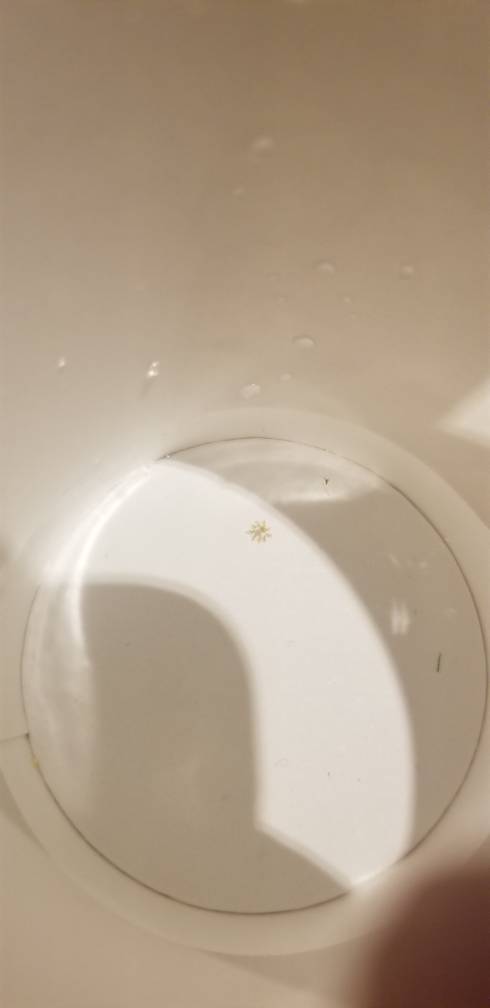 20190613_090522.jpeg