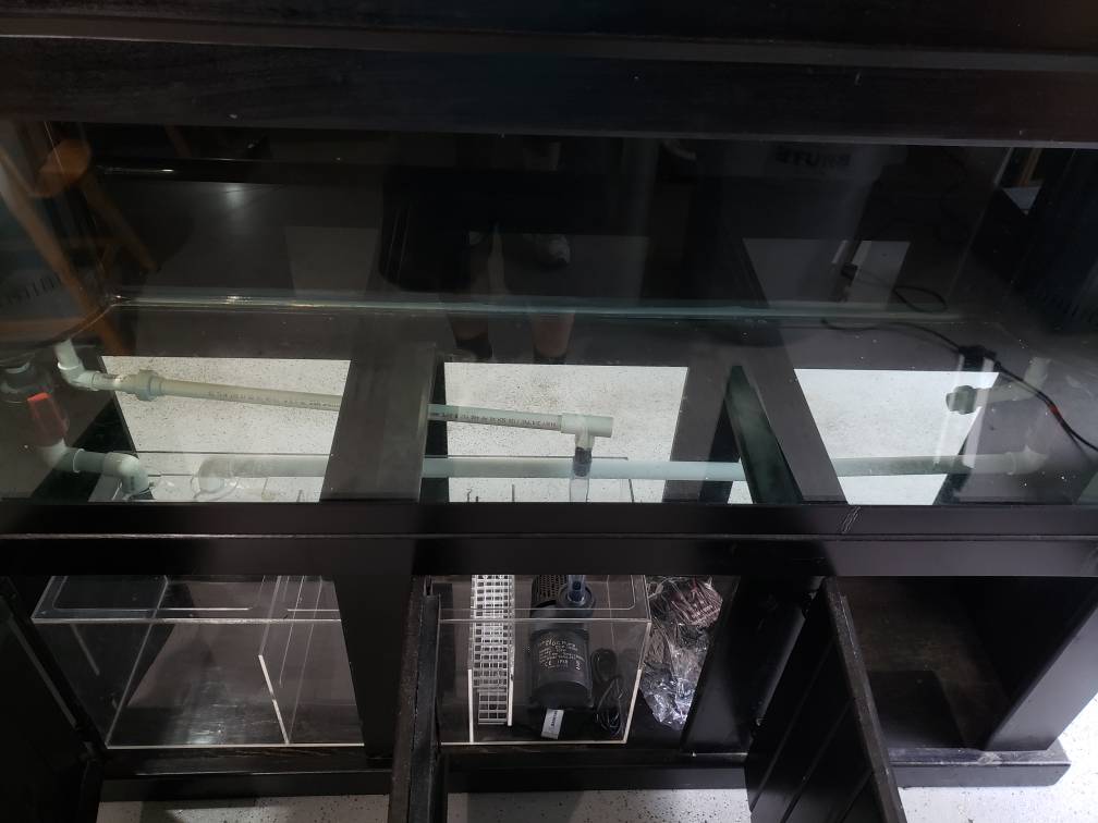 20190613_185906.jpeg